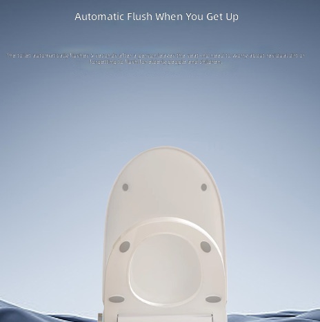 Heated Smart Toilet Seat, Auto - Home Bathroom Upgrades review and price
